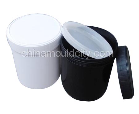 Plastic Pail Mould