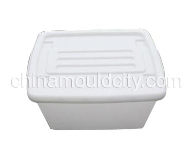 Storage bins mould