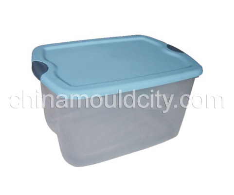 Storage box mould